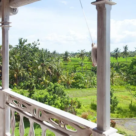 B Saya Villas-2